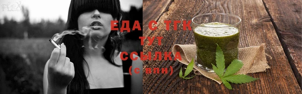 гашик Снежногорск