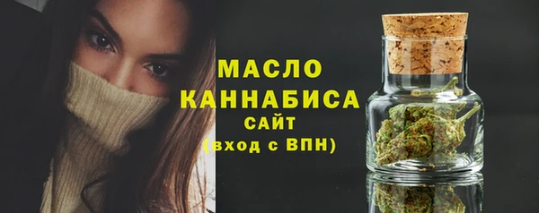 гашик Снежногорск