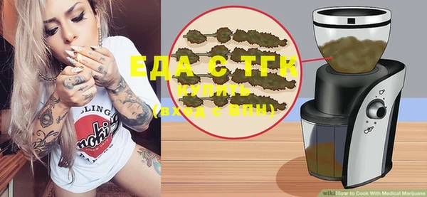 гашик Снежногорск